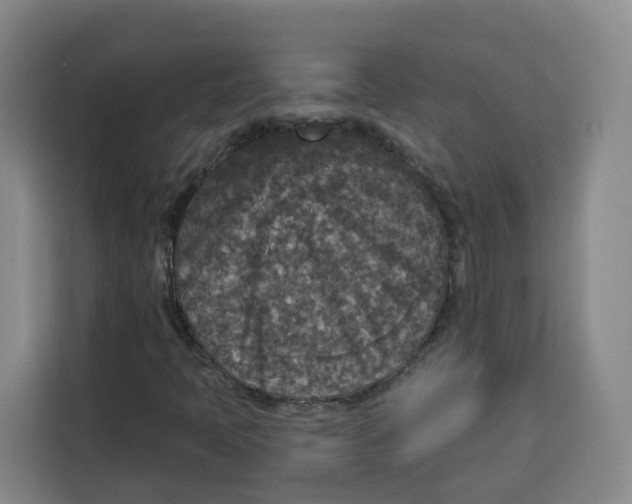 X0000115131397200911241436