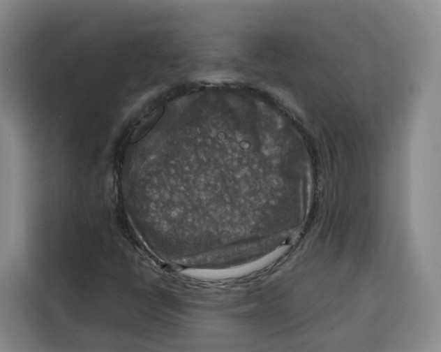 X0000115131398200911241436