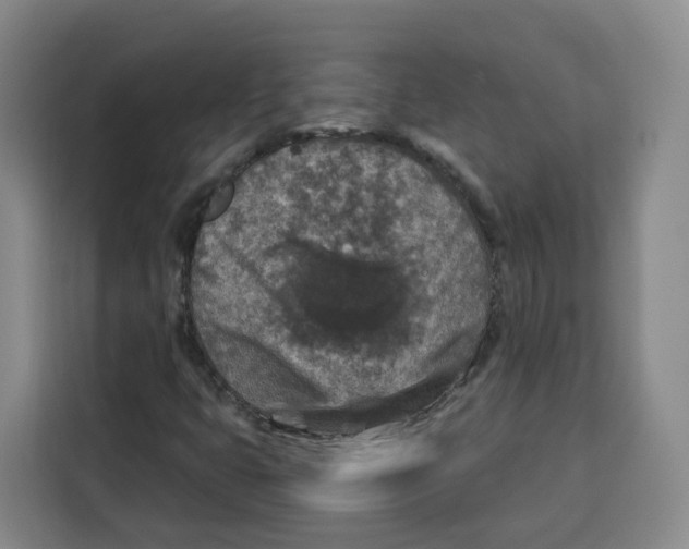 X0000115131399200911241436