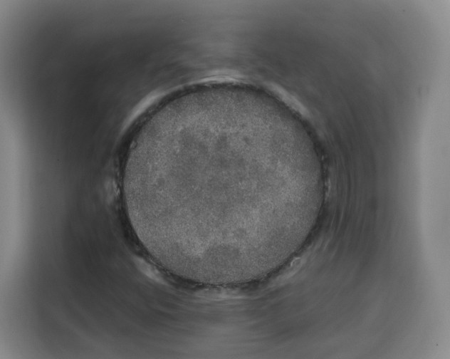 X0000115131400200911241436