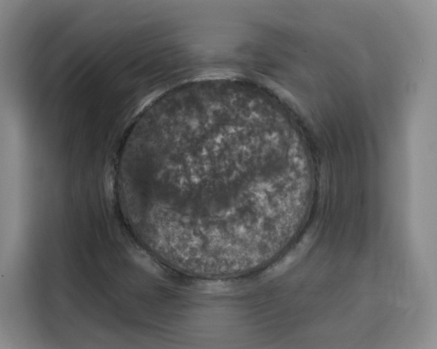 X0000115131401200911241436