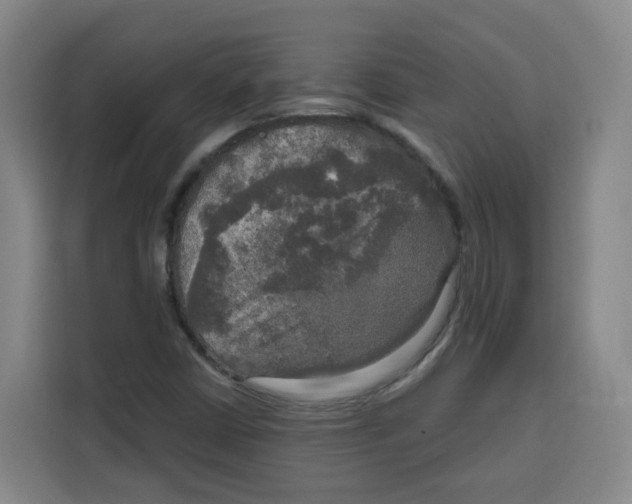 X0000115131402200911241436