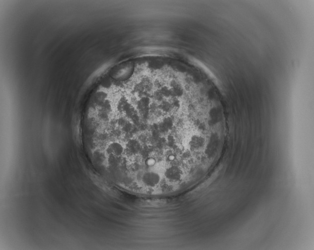 X0000115131403200911241436