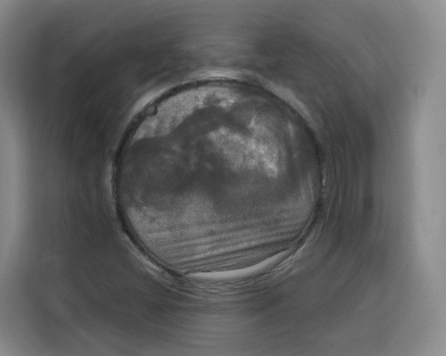 X0000115131404200911241436