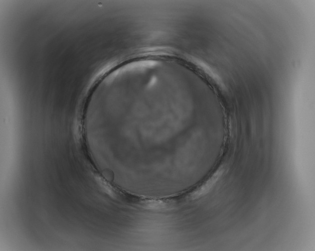 X0000115131405200911241436