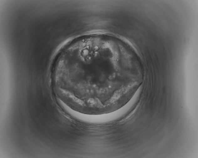 X0000115131406200911241436