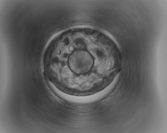 X0000115131408200911241436