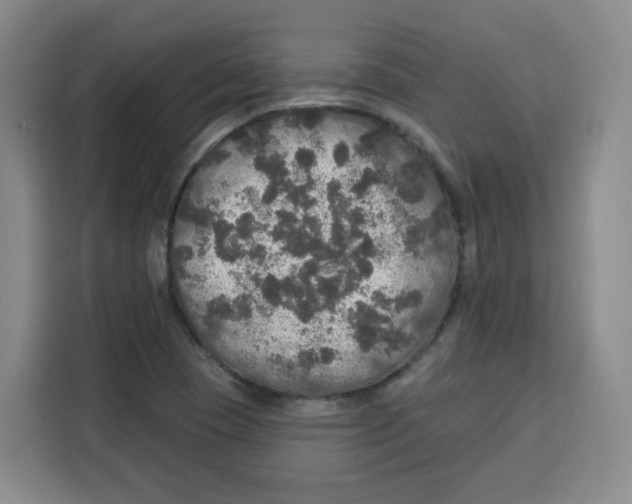 X0000115131409200911241436