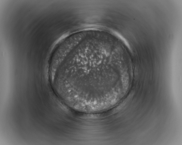 X0000115131411200911241436