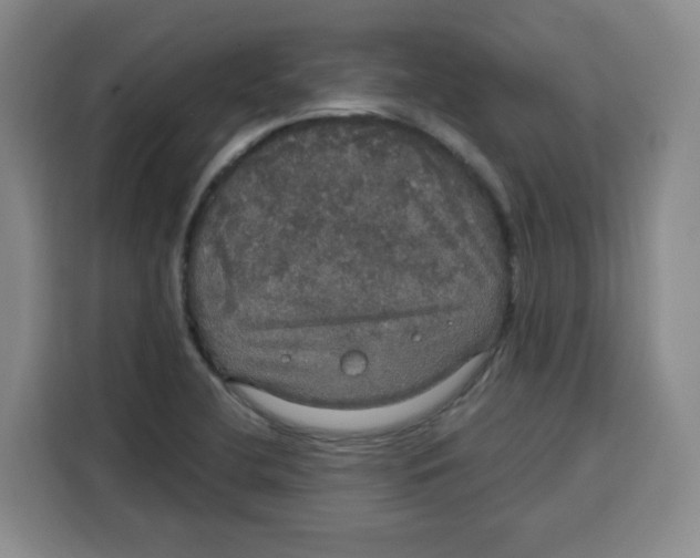 X0000115131412200911241436