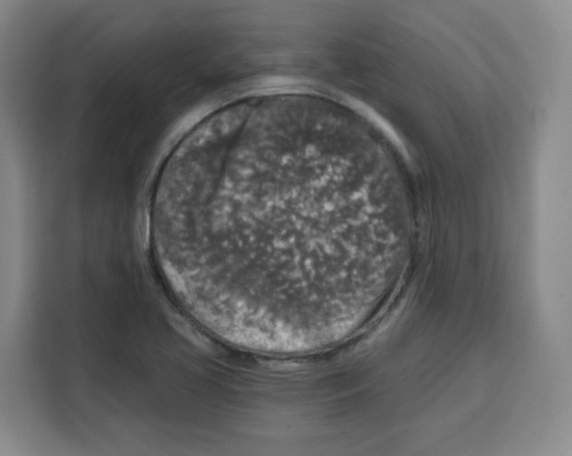 X0000115131413200911241436