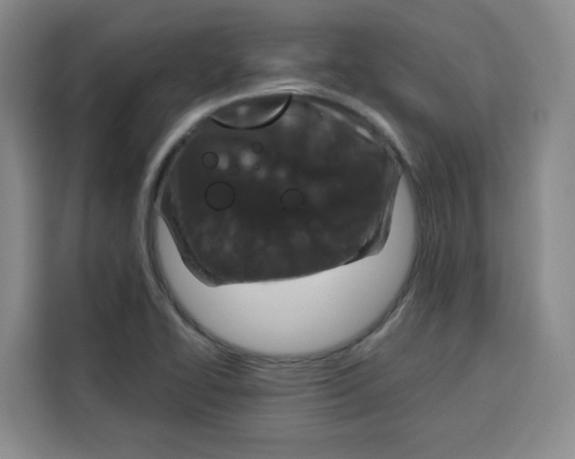 X0000115131414200911241436
