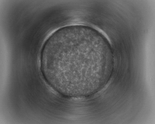 X0000115131415200911241436