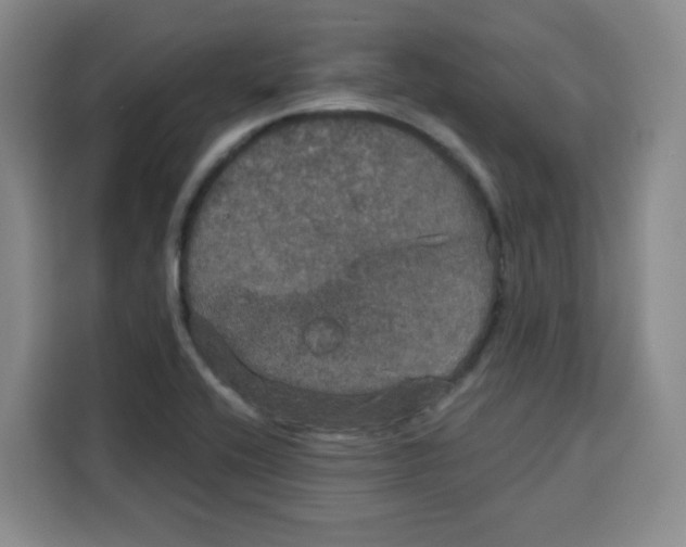 X0000115131416200911241436