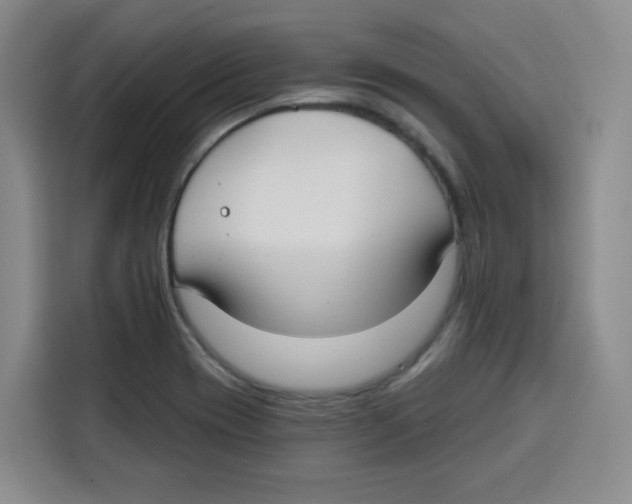X0000115131417200911241436