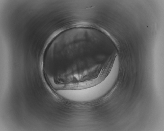 X0000115131418200911241436