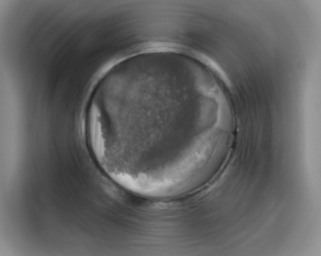 X0000115131419200911241436