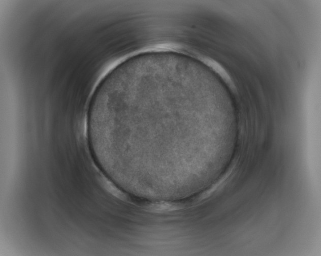 X0000115131420200911241436