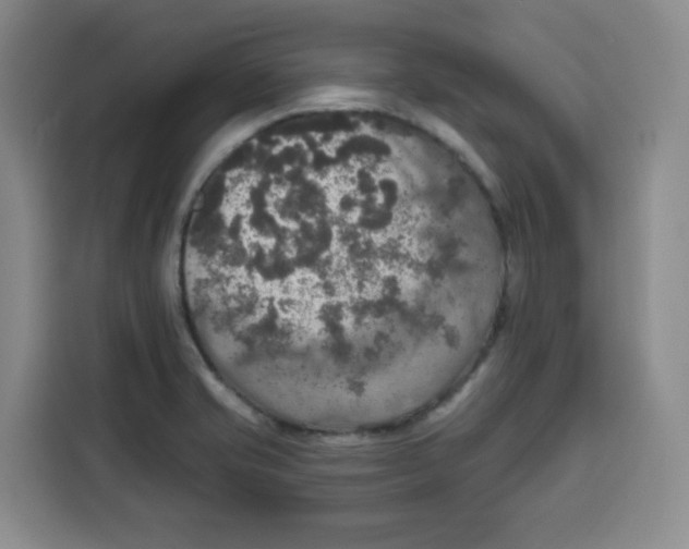 X0000115131421200911241437