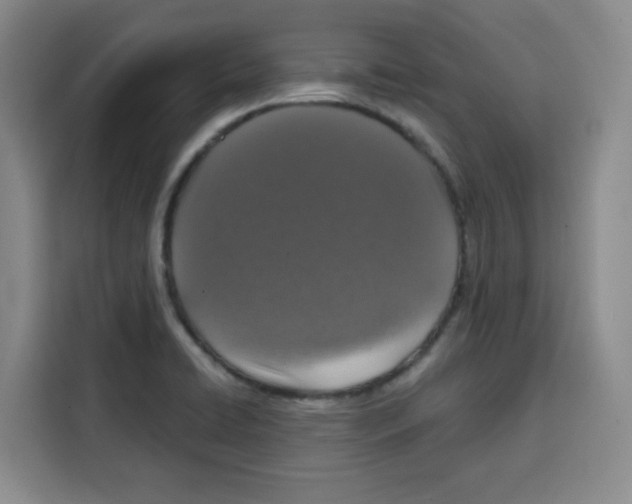 X0000115131422200911241437