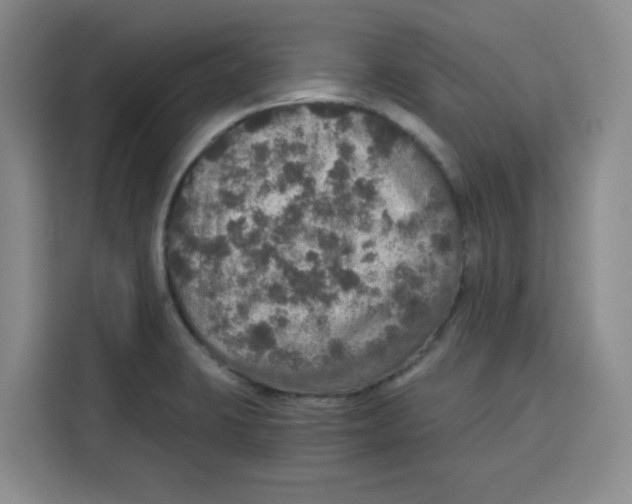 X0000115131423200911241437