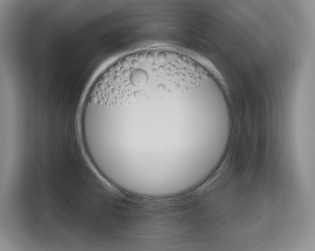 X0000115131424200911241437
