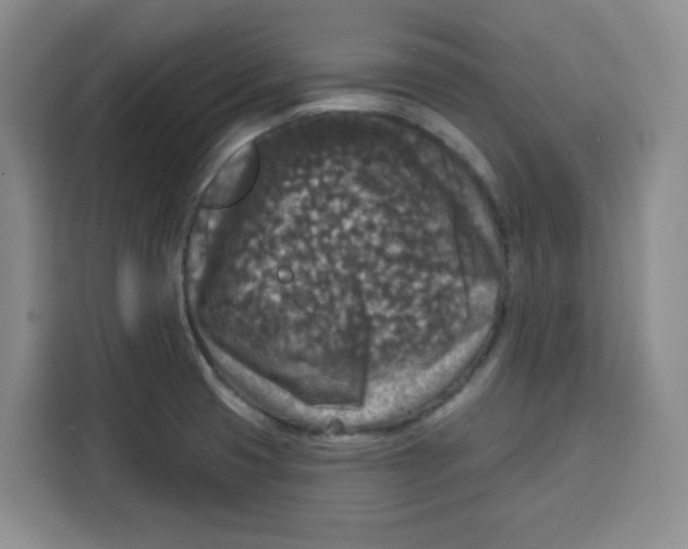 X0000115131425200911241437