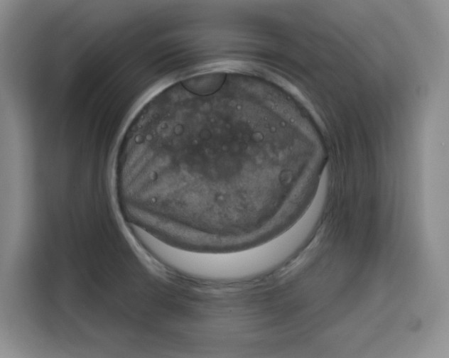 X0000115131426200911241437