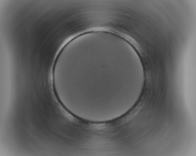 X0000115131428200911241437