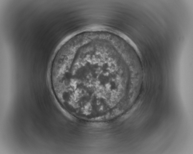 X0000115131429200911241437