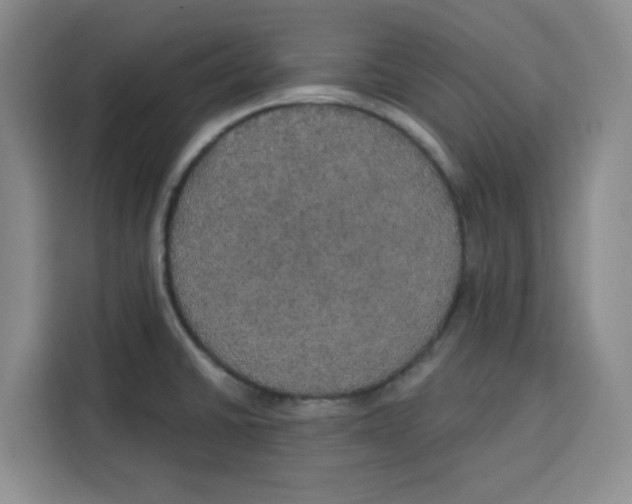 X0000115131430200911241437
