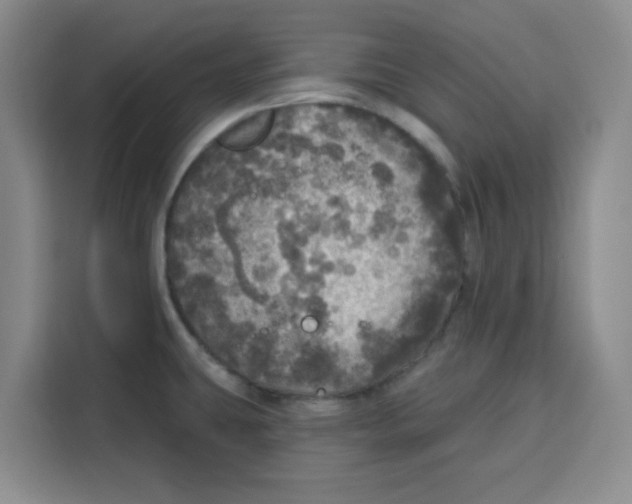 X0000115131431200911241437