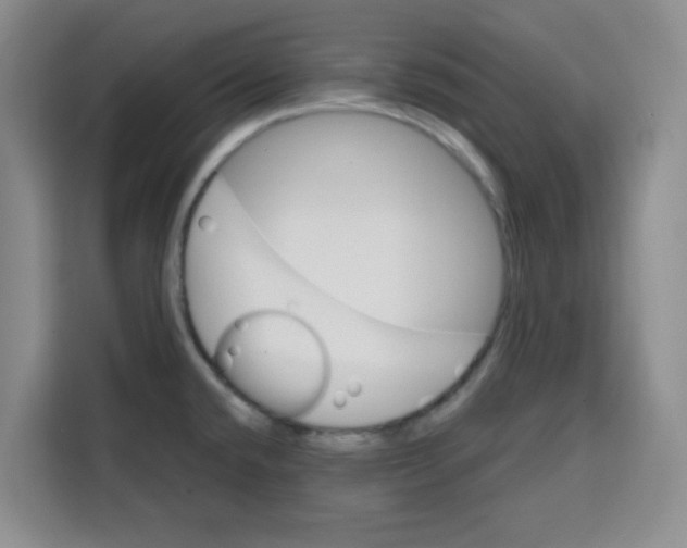 X0000115131432200911241437