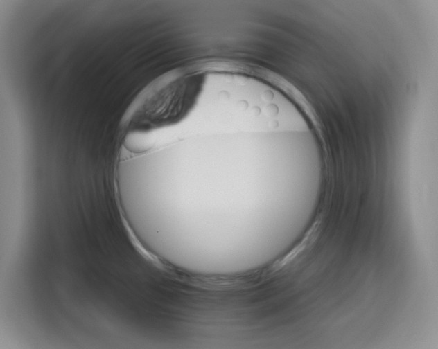 X0000115131433200911241437