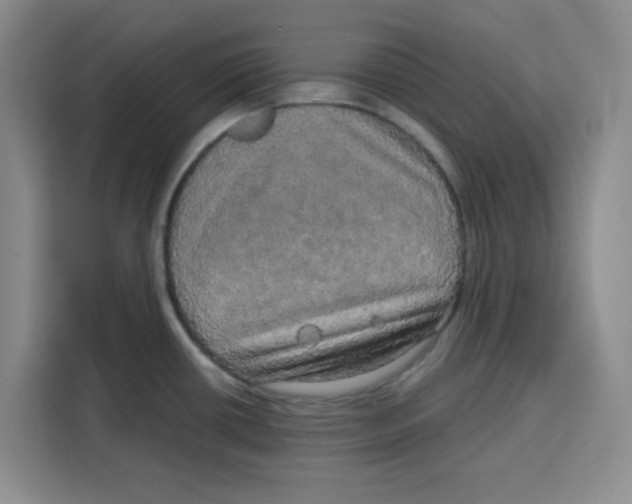 X0000115131434200911241437