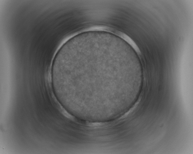 X0000115131436200911241437