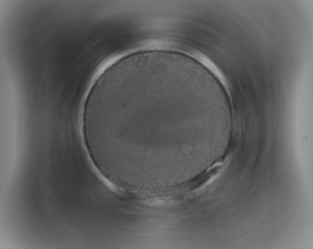 X0000115131437200911241437