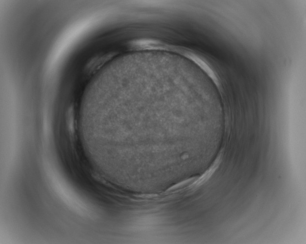 X0000115131438200911241437