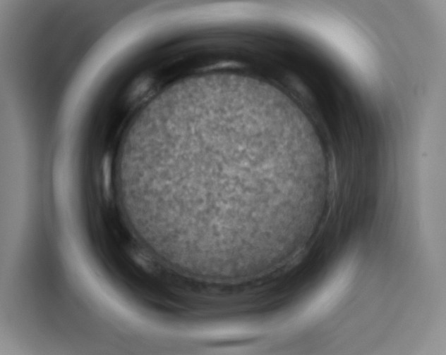 X0000115131439200911241437