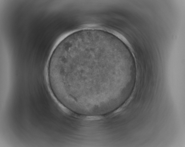 X0000115131440200911241437