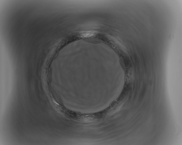X0000115131441200911241436