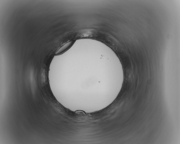 X0000115131442200911241436