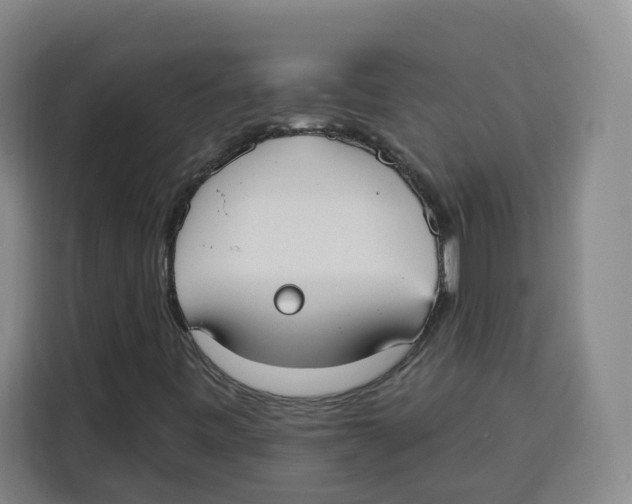 X0000115131443200911241436