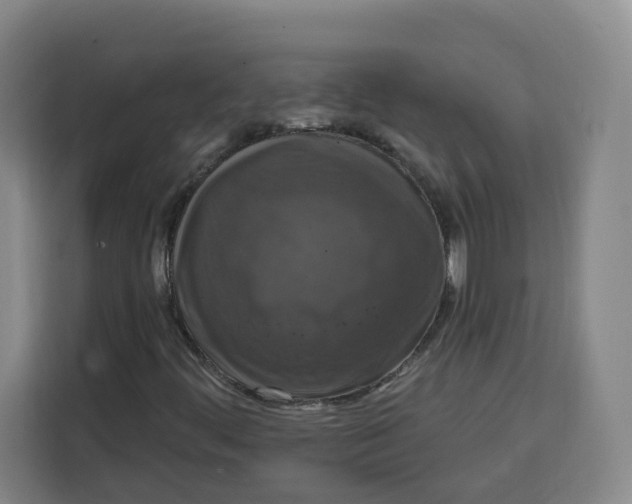 X0000115131444200911241436