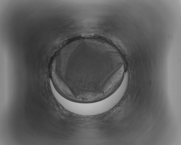 X0000115131445200911241436