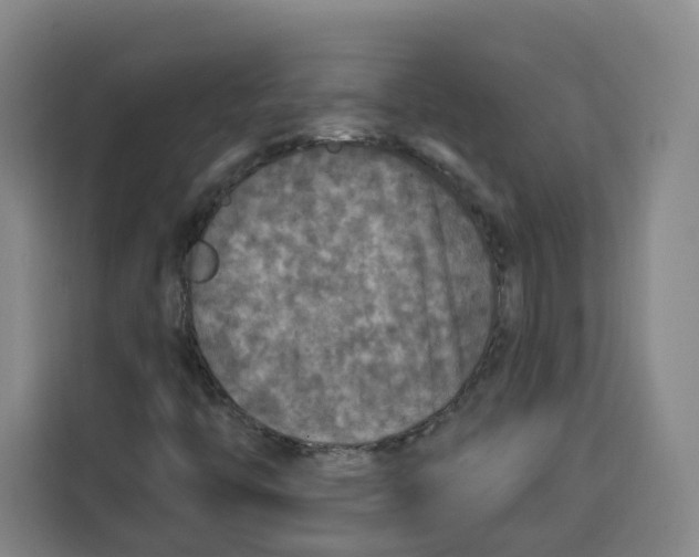 X0000115131446200911241436