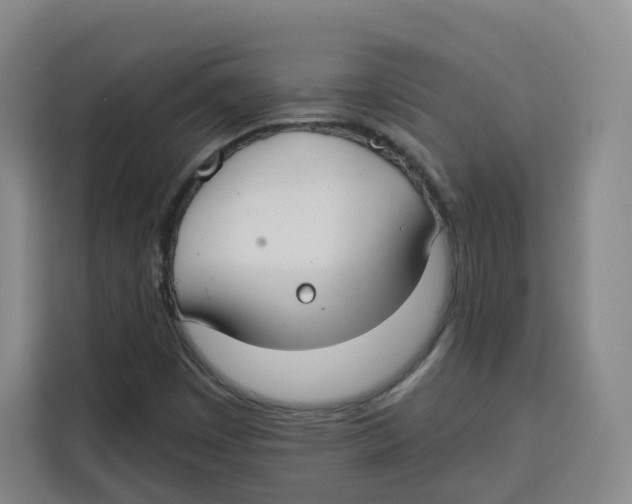 X0000115131449200911241436