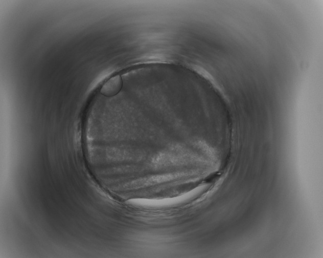 X0000115131450200911241436