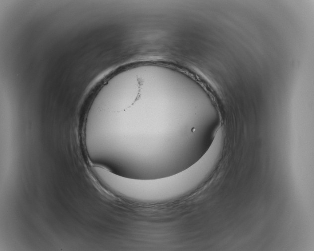 X0000115131452200911241436