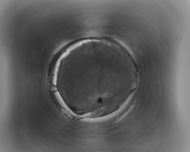 X0000115131453200911241436